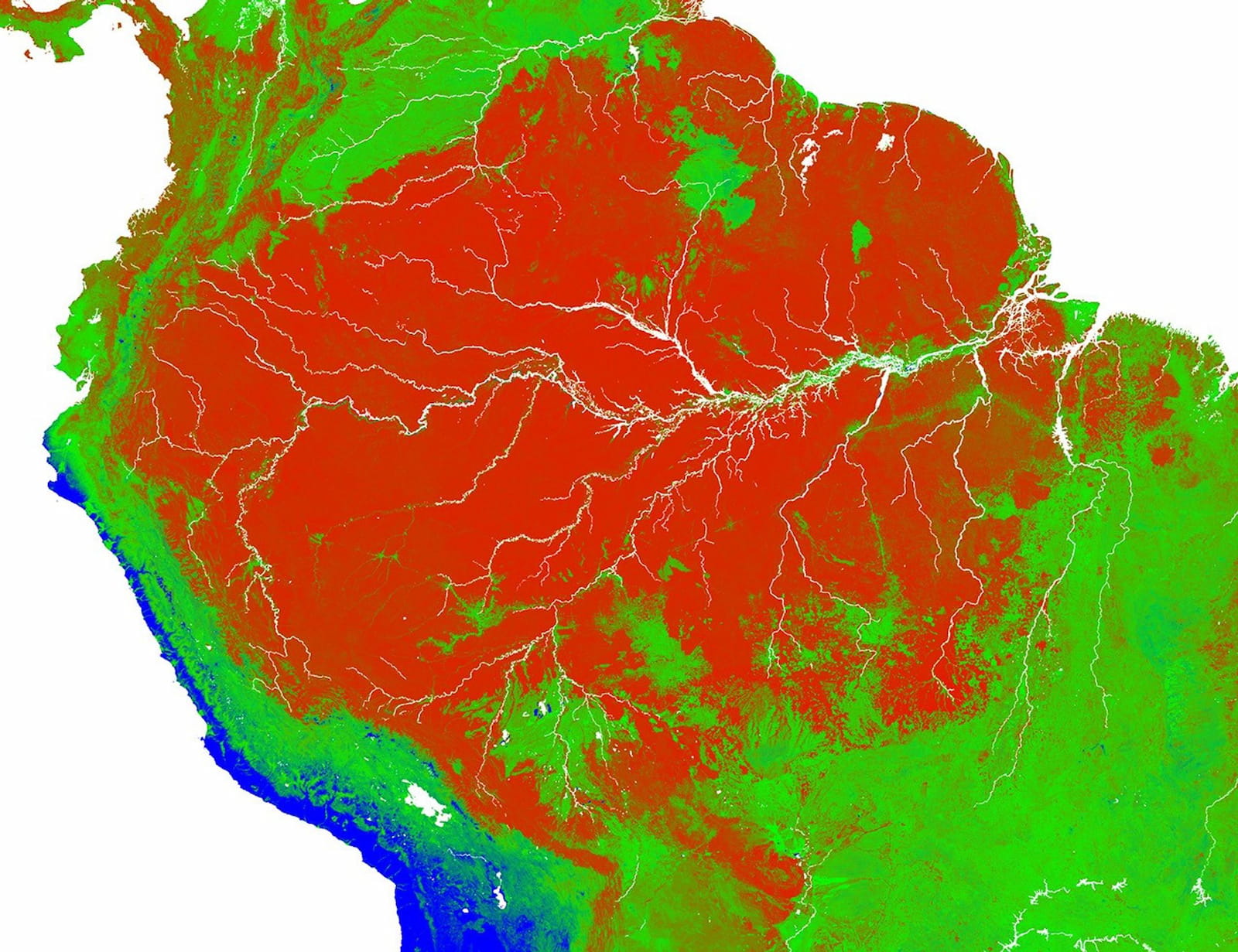 Satellite image of the Arc of Deforestation in the southern Amazon, showing the fishbone pattern of forest clearing