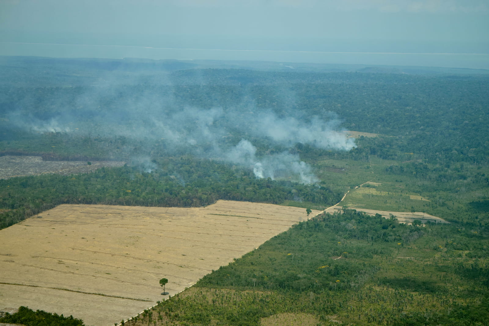 Aerial photograph of recently cleared Amazon rainforest, Brazil