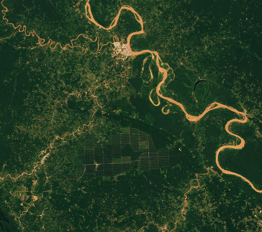 Yurimaguas, Peru, Amazon forest in 2019, Landsat satellite image showing deforestation